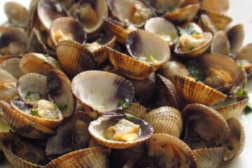 Portuguese cockles with lemon juice in a serving platter